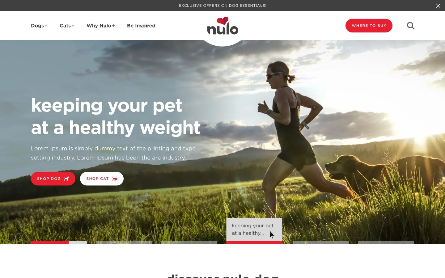 Nulo — Homepage
