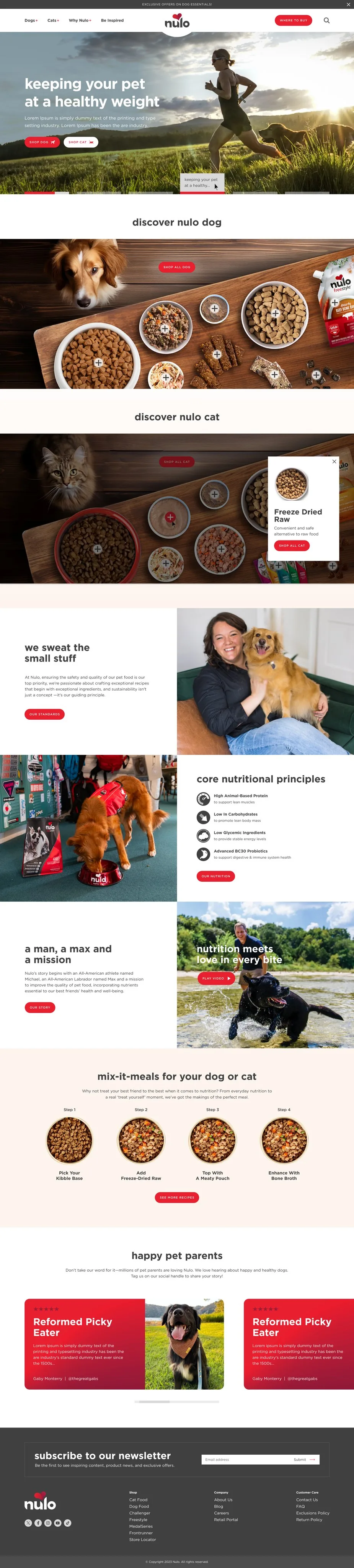 Nulo — Homepage, full page